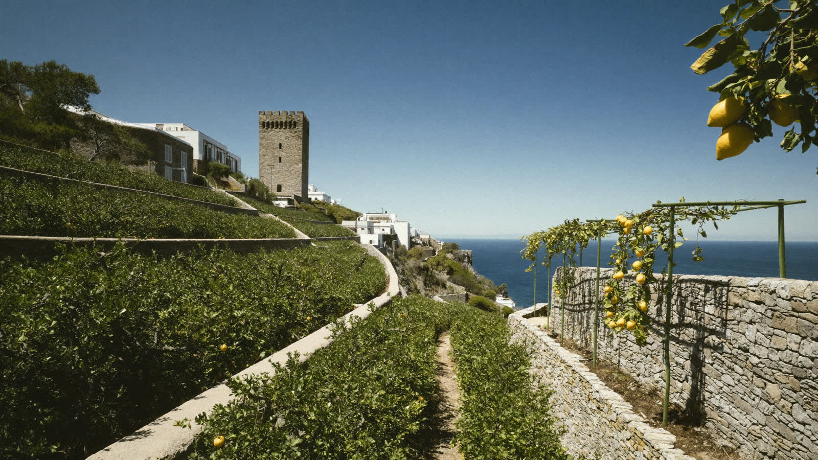 Terraced lemon groves stepping down towards the sea above Amalfi