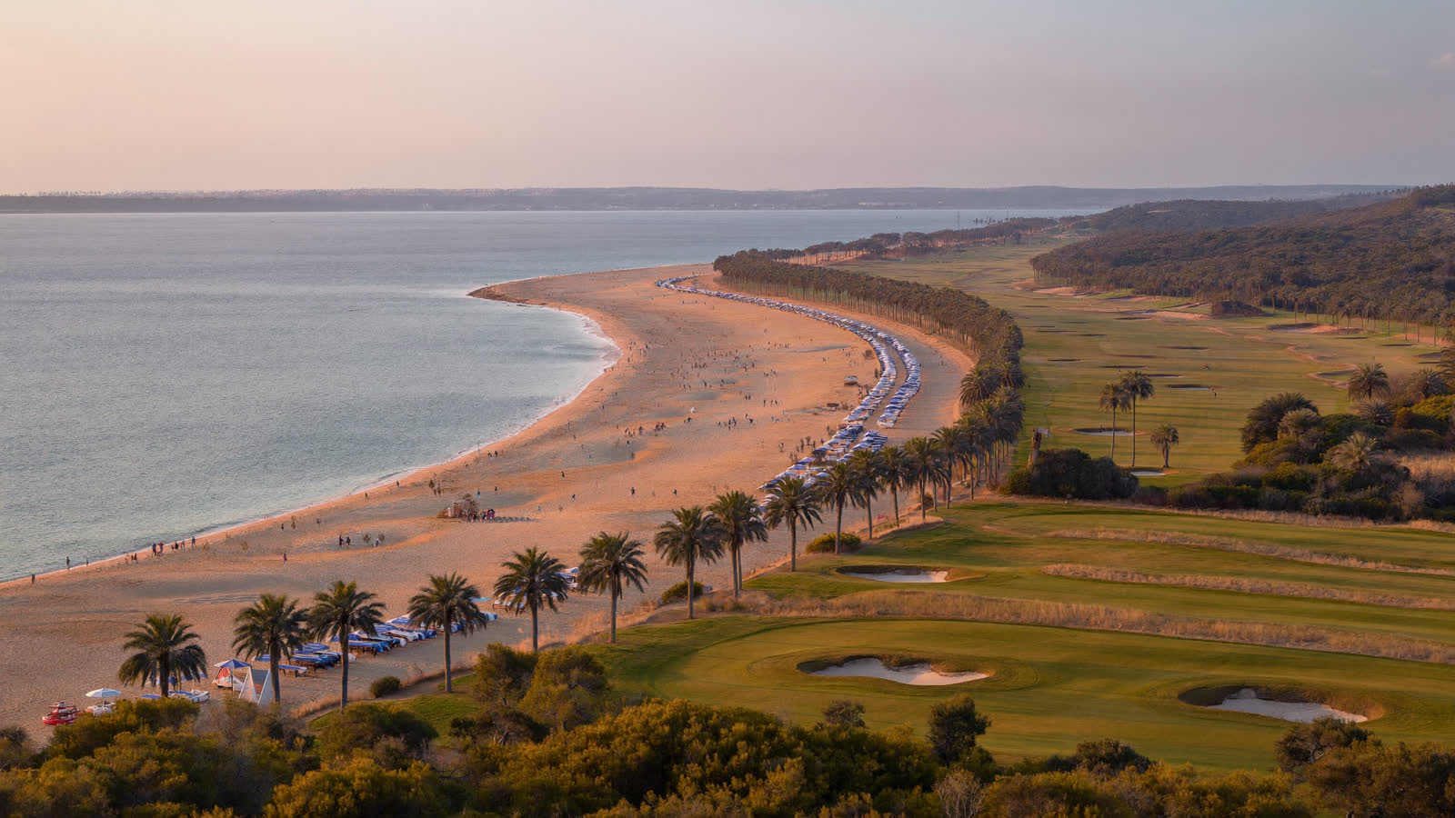 The Belek coastline at dawn, golden sand and umbrella pines meeting the Mediterranean