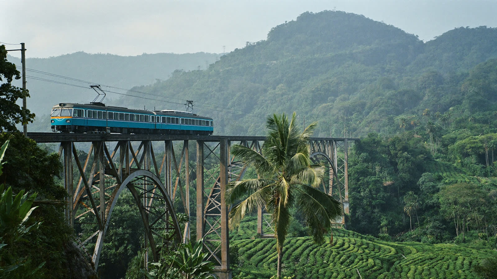 Train crossing the Nine Arch Bridge amid tea hills, Ella, Sri Lanka