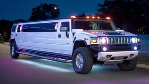 Stretch Limo 20 seaters Petrol