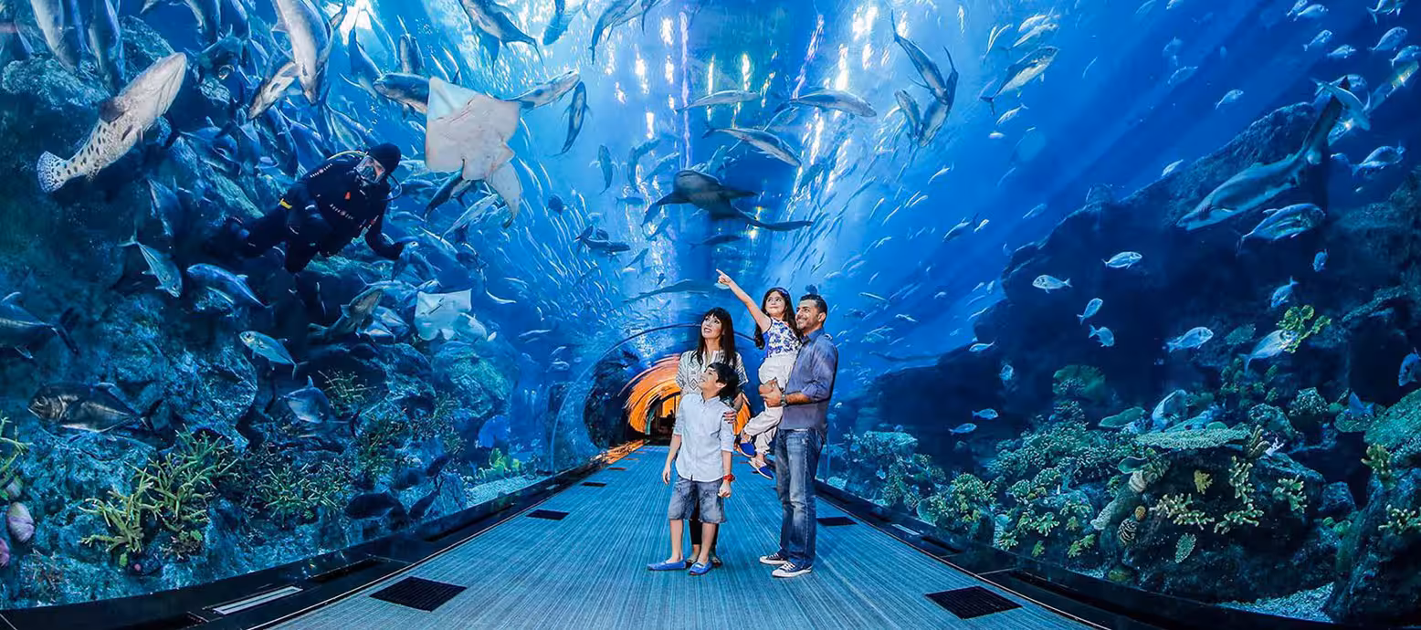 Dubai Aquarium and water Zoo | Dubai